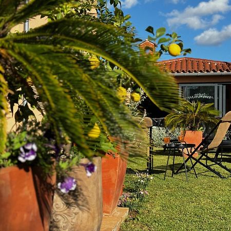 Villa Mihaela Фажана Екстер'єр фото
